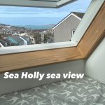 Sea Holly View